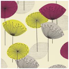 Hartie de impachetat cu 2 fete - Dandelion Clocks / Sanderson Sanderson