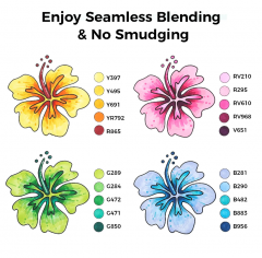 Set 40 markere - Ohuhu Oahu Dual Tips with Blender