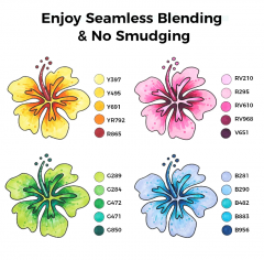 Set 80 markere - Ohuhu Oahu Dual Tips with Blender