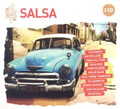 All You Need Is: Salsa