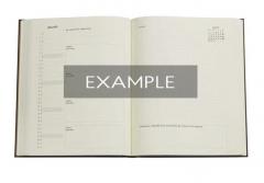 Agenda 2025 - Inkbolt - Old Leather Collection - Ultra, Business Planner, Softcover