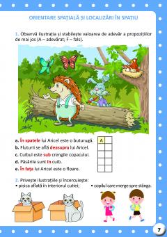 Aricel in lumea matematicii