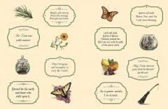 The Green Witch's Sticker Book