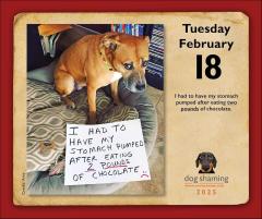 Dog Shaming 2025 Day-to-Day Calendar