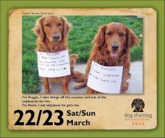 Dog Shaming 2025 Day-to-Day Calendar