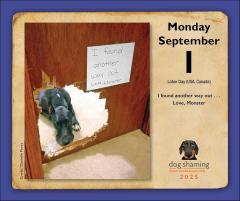 Dog Shaming 2025 Day-to-Day Calendar