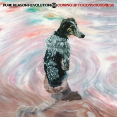 Coming Up To Consciousness (CD + DVD)