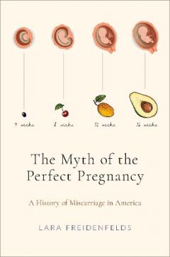 Myth of the Perfect Pregnancy