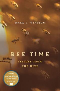 Bee Time
