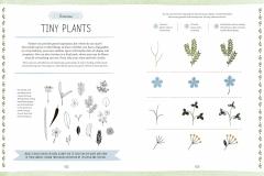 Draw Every Little Thing