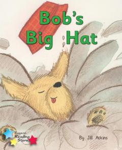 BOBS BIG HAT