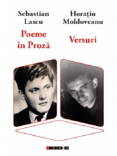 Poeme in proza. Versuri