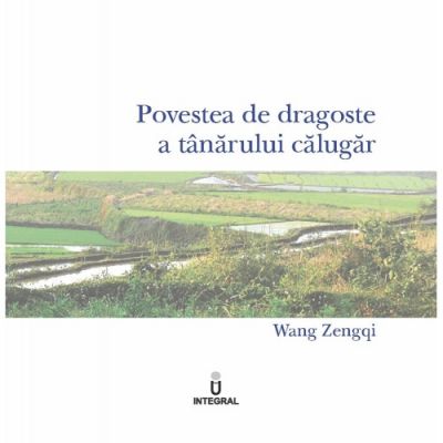 Povestea De Dragoste A Tanarului Calugar - Wang Zengqi