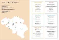 Hidden Beers of Belgium