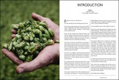 Hidden Beers of Belgium