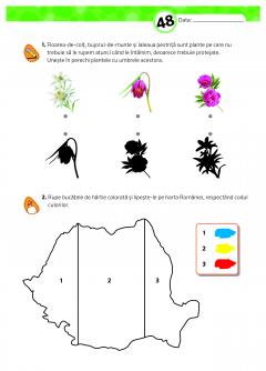 Ola in grupa mijlocie - Caiet de lucru pentru prescolari, Caietul 2