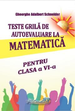 Teste grila de autoevaluare la matematica pentru alasa a VI-a