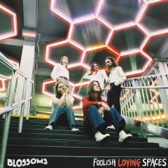 Foolish Loving Spaces - Vinyl