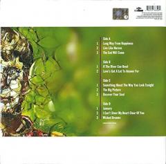 The Big Picture - Vinyl