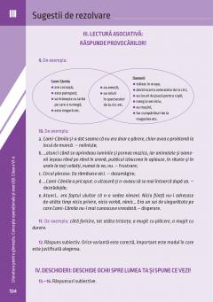 Literatura pentru gimnaziu. Concepte operationale si exercitii. Clasa a VI-a