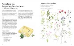 Wildflower Watercolour