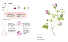 Wildflower Watercolour