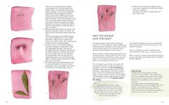 Wildflower Watercolour