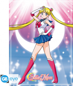 Set 2 Postere - Sailor Moon and Cats