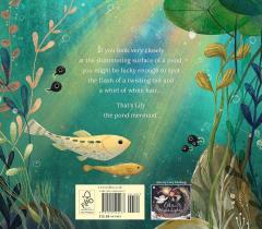 Lily the Pond Mermaid
