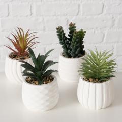 Ghiveci decorativ cu plante - Succulent - mai multe modele