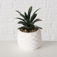 Ghiveci decorativ cu plante - Succulent - mai multe modele