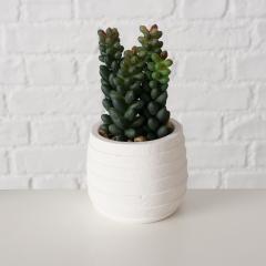 Ghiveci decorativ cu plante - Succulent - mai multe modele
