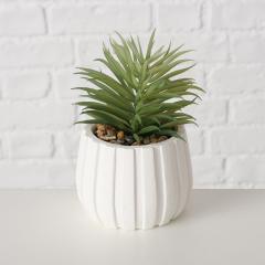 Ghiveci decorativ cu plante - Succulent - mai multe modele