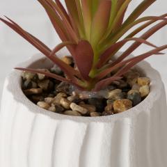 Ghiveci decorativ cu plante - Succulent - mai multe modele