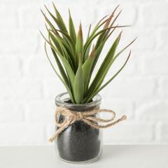 Ghiveci decorativ cu plante - mai multe modele