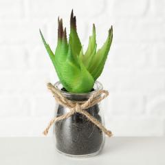 Ghiveci decorativ cu plante - mai multe modele