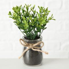 Ghiveci decorativ cu plante - mai multe modele