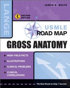 Gross Anatomy