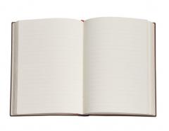 Carnet - Daphnis & Chloe - Daphnis - Midi, Unlined, Softcover, Elastic Band