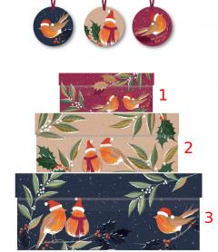 Cutie cadou - Robin Chorus 2 - Medium