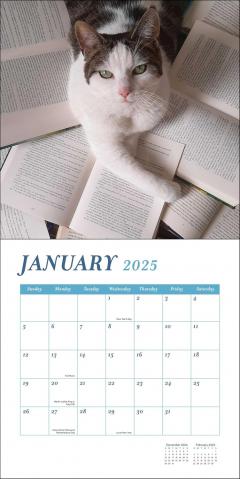 Calendar 2025 - Cats & Books