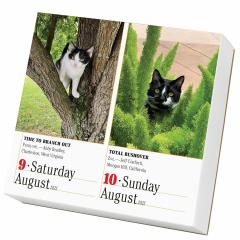 Calendar 2025 - The World's Favourite Cat Calendar - 365 Cats