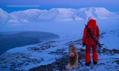 Life on Svalbard