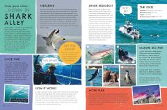 Your Ultimate Travel Adventure List