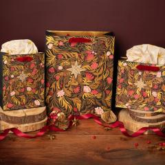 Punga cadou - Nina Pace - Festive Star Medium