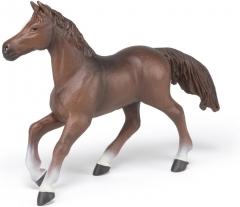 Figurina - Anglo-Arab mare