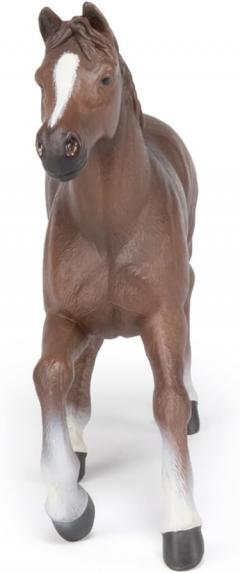 Figurina - Anglo-Arab mare