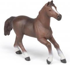 Figurina - Anglo-Arab mare