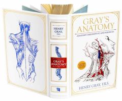 Gray's Anatomy