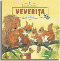 Veverita